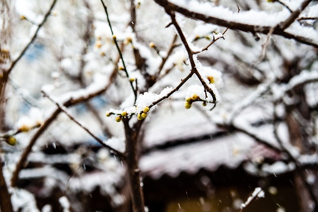 生存