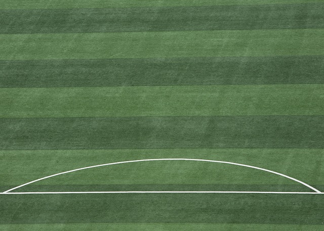 击剑运动注 击剑运动注